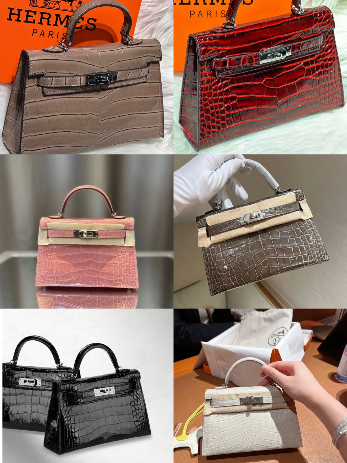 H Mini Crocodile & Alligator Bag 22cm