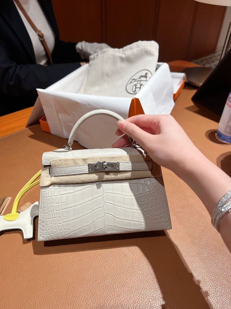 H Mini Crocodile & Alligator Bag 22cm